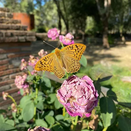 Homestay La Resinera *