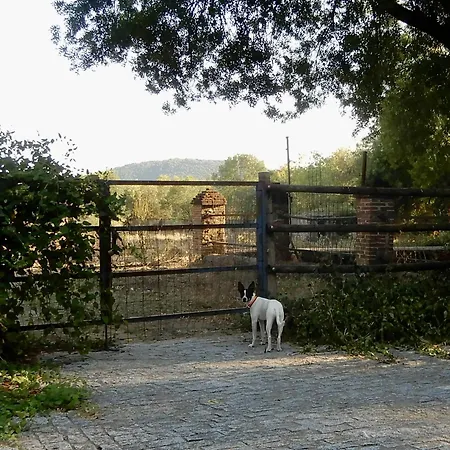 Homestay La Resinera *