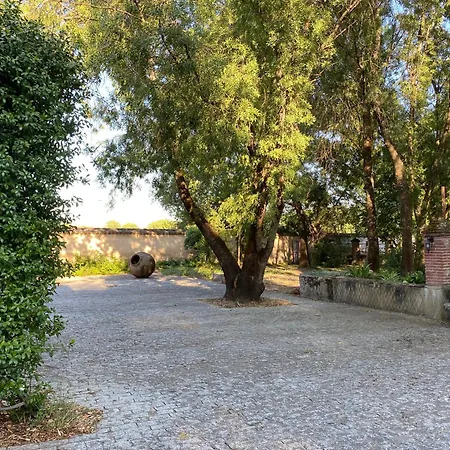 La Resinera * La Adrada