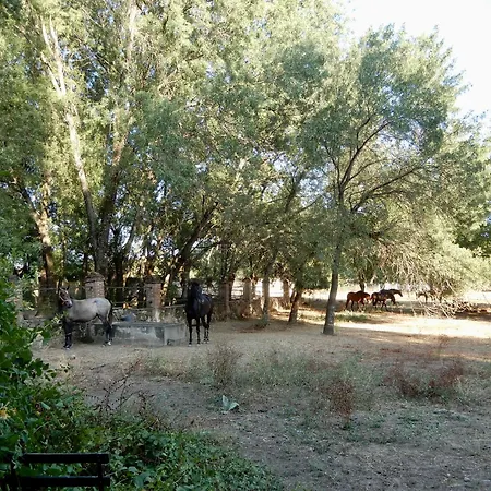 La Resinera Homestay *