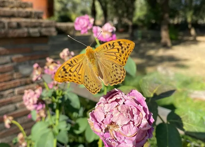 Kwatera prywatna La Resinera *