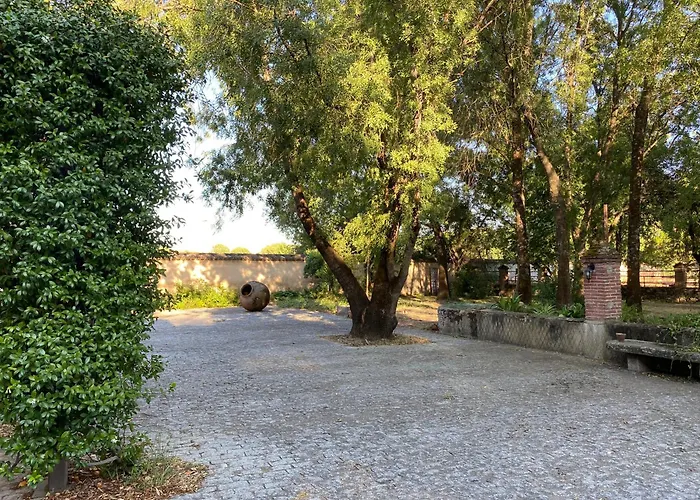 La Resinera * La Adrada