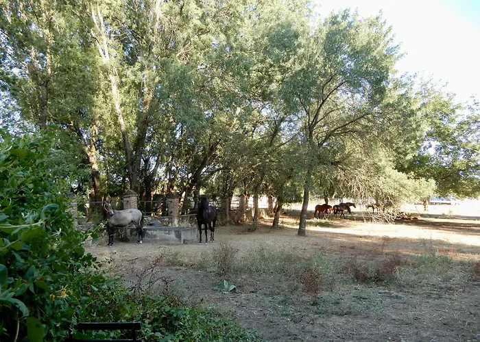 La Resinera Kwatera prywatna *